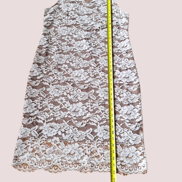 Amanda Collection Cream & Tan Lace Dress - Picture 5 of 9